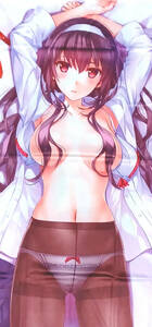 28 day end .. not she. ..... pieces . poetry feather Dakimakura cover 2way tricot 