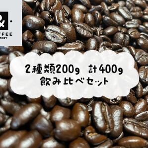 【独自プロファイル】自家焙煎コーヒー　2種計400g