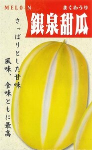 送料無料　銀泉甜瓜　マクワウリ　１０粒