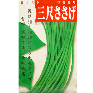 送料無料　黒種　三尺ササゲ　２０粒