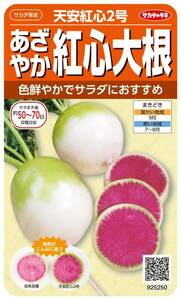 送料無料　紅心大根　天安紅心2号　５０粒