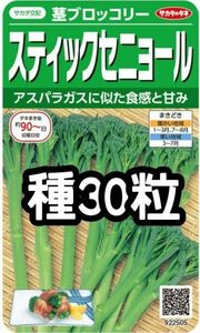 【30粒】スティックセニョール 茎ブロッコリー 種 たね 種子 サカタのタネ