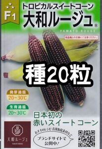 【20粒】大和ルージュ トロピカルスイートコーン とうもろこし 赤 種 たね