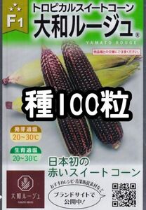 【100粒】大和ルージュ トロピカルスイートコーン とうもろこし 赤 種 たね