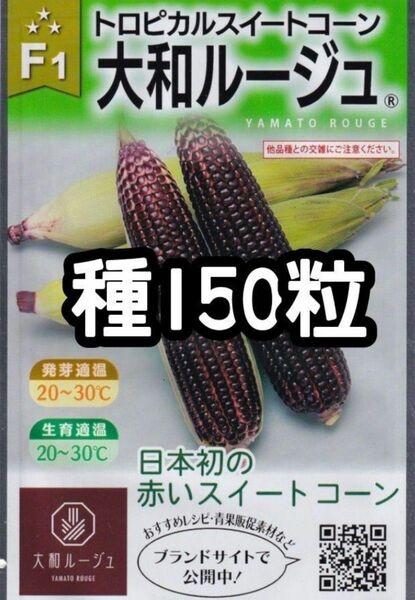 【150粒】大和ルージュ トロピカルスイートコーン とうもろこし 赤 種 たね