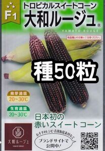 【50粒】大和ルージュ トロピカルスイートコーン とうもろこし 赤 種 たね