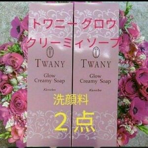 トワニー　グロウクリーミィソープ　洗顔料　２点セット