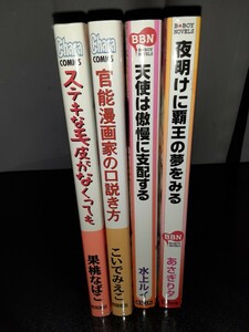 BＬコミック、小説　4冊セット　こいでみえこ　果桃なばこ　水上ルイ　あさぎり夕