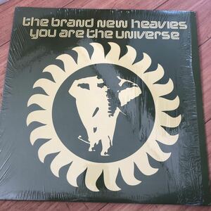 12’ The Brand New Heavies-You are the universe 