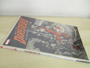 A82　　MARVEL　DAREDEVIL　by　MARK　WAID　2　S5208