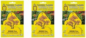 送料\140【BONSAI-TREE・盆栽エアーフレッシュナー／３枚】※《OSAKA BUBBLE GUM》　盆栽エアフレ　AIR FRESHENER