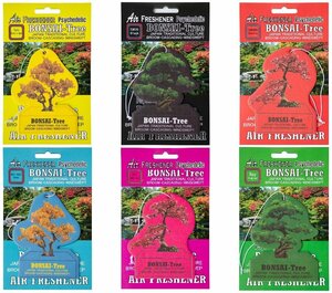 送料無料【BONSAI-TREE・盆栽エアーフレッシュナー】※《６種類セット》　盆栽エアフレ　AIR FRESHENER