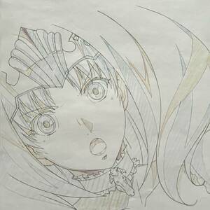 クイーンズブレイド　アンネロッテ　原画　動画　セル画　Genga Cel