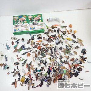 MX18◆ チョコエッグ 日本の動物コレクション 他 フィギュア まとめ 大量セット ジャンク/爬虫類 チョコQ 亀 猿 魚 昆虫 海洋堂 送:-/80