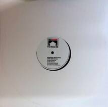 LP レコード　FREEMAISON 006Freemasons Limited Edition Album Sampler Vol. 2 / UK盤 / Free-Maison 006　YL145 19_画像1