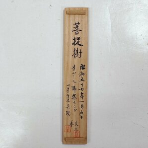 ☆茶道具 茶杓 銘 天笠 菩提樹 書付 箱書 木製 ベナレス寺院 昭和57年の画像7