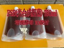 PSB(光合成細菌) 750ml 培養酵母10錠付【送料無料】_画像1