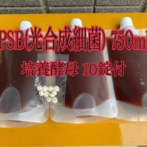 PSB(光合成細菌) 750ml 培養酵母10錠付【送料無料】9の画像1