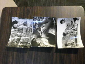 俺たちの荒野◆酒井和歌子◆１９７０年劇場公開時のスチール写真３種３枚◆黒沢年男◆東宝