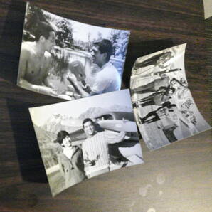ニュージーランドの若大将◆南太平洋の若大将◆加山雄三◆酒井和歌子◆１９６０年代公開時のスチール写真◆３枚セットの画像1