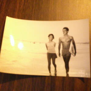 ときめき海岸物語◆富田靖子◆１９８５年劇場公開時のスチール写真◆鶴見辰吾◆松竹の画像1