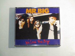 Mr. Big - We Love You Big 2CD