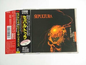 Sepultura - Beneath The Remains 国内盤帯付