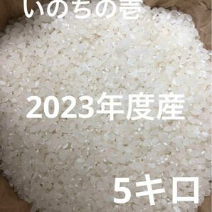 信州産　いのちの壱　うるち米　5キロ 長野県北信濃