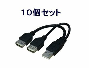 送料無料 USBケーブル×10個 分岐ケーブル データ用/電源用