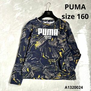 PUMA