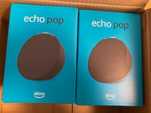 Echo Pop チャコール　未開封新品　2個セット