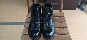 Regal Boots 25,5 см снаружи и внутри относительно красивы. Кажется, что это не подлинная кожа, глянцевая поверхность материала.