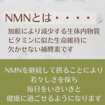 訳あり　NMNサプリ　EVERBEAUTY　NMNPLATINUM　3本セット 賞味期限間近 瓶_画像4