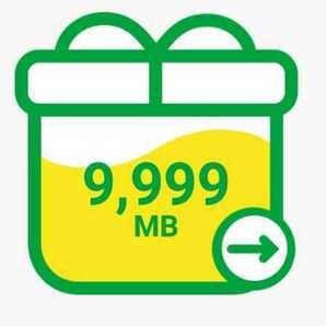 マイネオ パケットギフト 10GB（9999MB）mineo の画像1