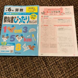 教科書ぴったりトレーニング 小学　6年 算数 啓林館版 ドリル