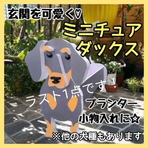 【ラスト1点】ミニチュアダックス ペット プランター ガーデニング 雑貨 収納 鉢植え 犬 観葉植物