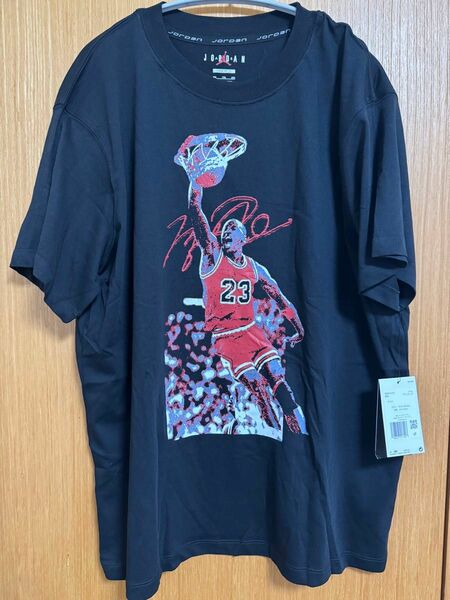 NIKE JORDAN ナイキ ジョーダン ウィメンズ Tシャツ 2XL