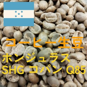 コーヒー 生豆 ホンジュラス SHG カピキタス農園 コパン Q85 マイクロロット Qグレードコーヒー 500g スペシャルティ 珈琲 生豆