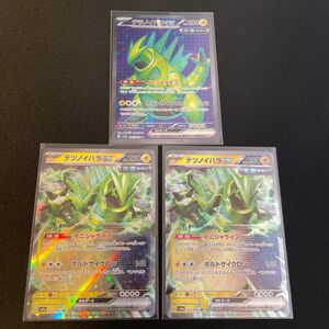 ポケモンカード　テツノイバラex SR テツノイバラexRR2枚　合計3枚セット