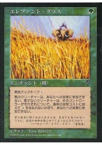 VIS エレファント・グラス/Elephant Grass 日本語 1枚