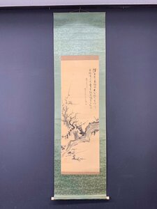 Art hand Auction [Kopie] [Ein Licht] vg8177(Okakei)Lob der Pflaumenmalerei, Malerei, Japanische Malerei, Blumen und Vögel, Vögel und Tiere