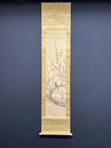 Art hand Auction [Copiar][Una luz] vg8348 Pintura de flores y pájaros de Oono Tosei, Colgante de primavera, Estudiado por Nishiyama Suisho, Nacido en Osaka, Cuadro, pintura japonesa, Flores y pájaros, Fauna silvestre