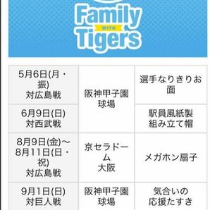 6月9日 6/9  日曜日 甲子園球場 交流戦 阪神 タイガース 対 埼玉 西武 ライオンズ ライト外野指定席 下段 2枚1組 プレゼントの画像2