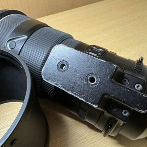 Nikon ニコン AF-S NIKKOR 300mm 1:2.8G ED VR カメラのレンズとTC-14EII テレコン付きサンニッパの画像8