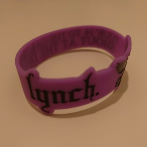 lynch. TOUR 2014 ラバーバンド