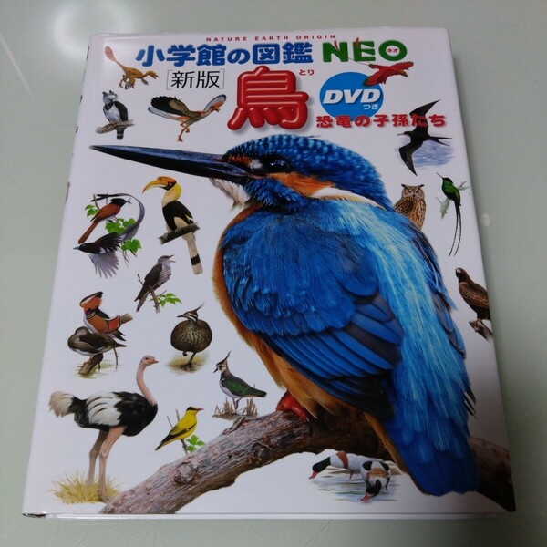 小学館の図鑑NEO 新版 鳥 DVD付き 児童書 絵本 学習 恐竜の子孫たち