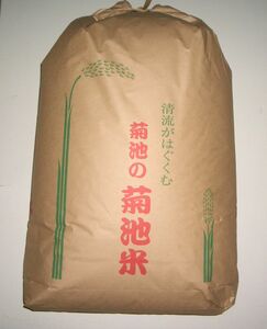 ★ Префектура Kumamoto Строгий отбор Kikuchi Rice ★ Происхождение 5 лет ★ Brown Rice 30 кг