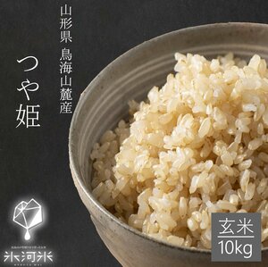 山形県庄内産　氷河米　『つや姫』　玄米１０ｋｇ　令和５年産　産地直送　特別栽培米　送料無料 米　お米　ブランド米　人気