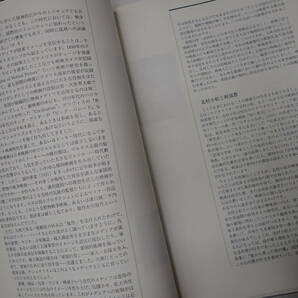 アジア映画史発掘シリーズ①「ヘラルド・デ・レオン監督をめぐって」 シンポジウムと参考上映『あの旗を撃て』『ノリ・メ・タンヘレ』の画像6