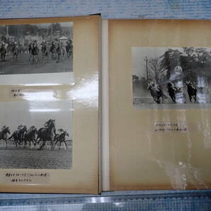 競馬アルバム 写真60枚 日本ダービー勝負 シンザン アローエクスプレス タニノムーテイエの画像4